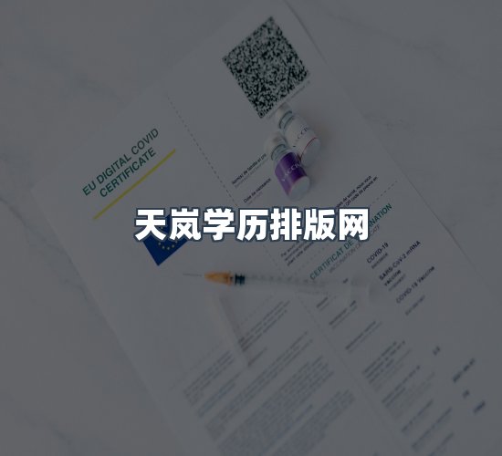 关于天岚学历排版网